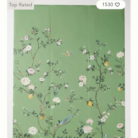 Anthropologie | Wall Decor | Anthropologie Wallpaper Mural | Poshmark